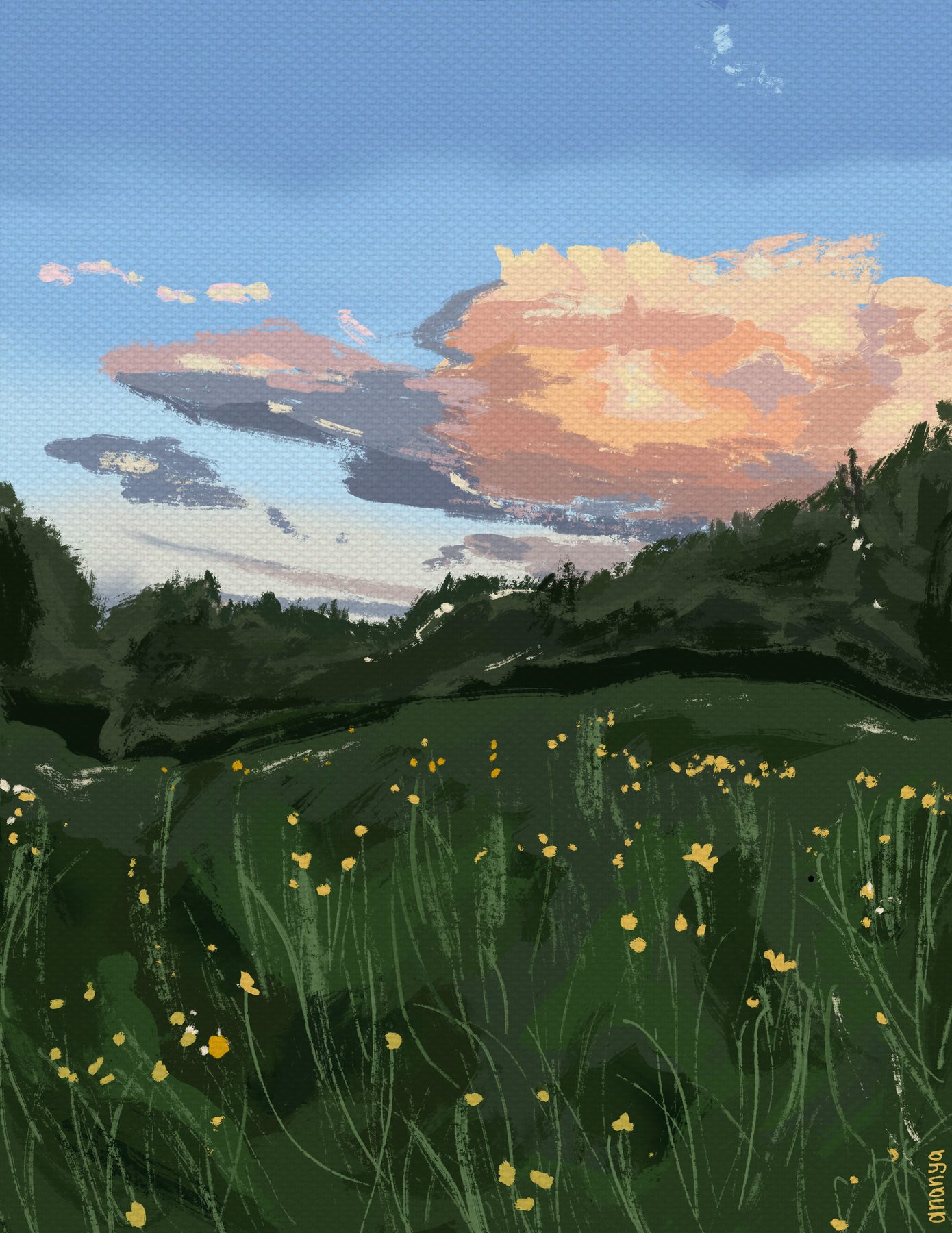 Digital landscape painting with clouds and wildflowers